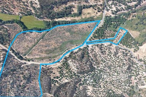 Terra a Alpiarca, Santarem, Alpiarca - € 531.898 | Ref: 146850 - foto 14