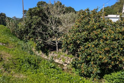 Helårsgrund i Sintra, Lisbon, Sintra - € 620.000 | Ref: DH872 - foto 3