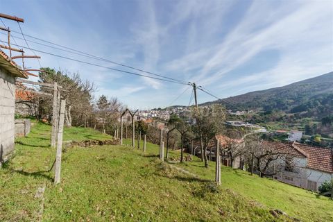 Villa a Seia, Guarda, Seia - € 95.000 | Ref: 382250097 - foto 9