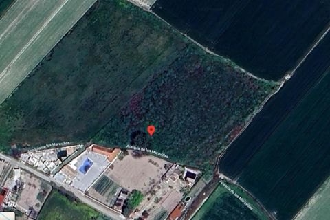 Helårsgrund i Pinos Puente, Granada, Pinos Puente - € 63.000 | Ref: EXP10695/8930 - foto 1