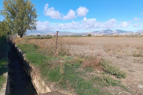 Helårsgrund i Pinos Puente, Granada, Pinos Puente - € 63.000 | Ref: EXP10695/8930 - foto 8