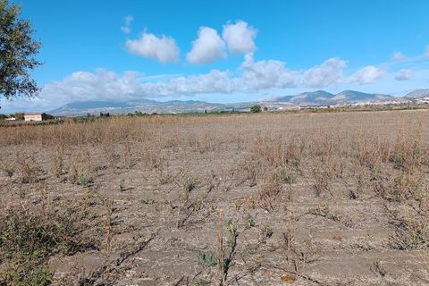Helårsgrund i Pinos Puente, Granada, Pinos Puente - € 63.000 | Ref: EXP10695/8930 - foto 12