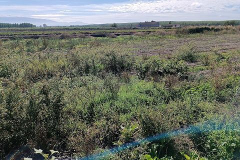 Helårsgrund i Pinos Puente, Granada, Pinos Puente - € 63.000 | Ref: EXP10695/8930 - foto 20
