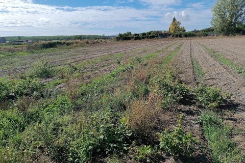 Helårsgrund i Pinos Puente, Granada, Pinos Puente - € 63.000 | Ref: EXP10695/8930 - foto 22