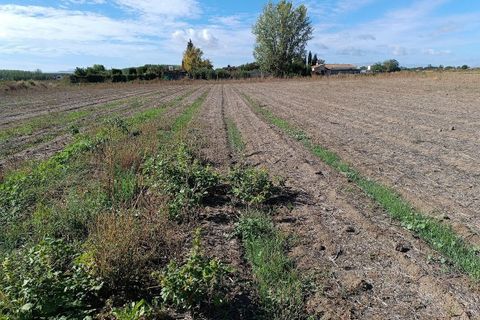 Helårsgrund i Pinos Puente, Granada, Pinos Puente - € 63.000 | Ref: EXP10695/8930 - foto 23