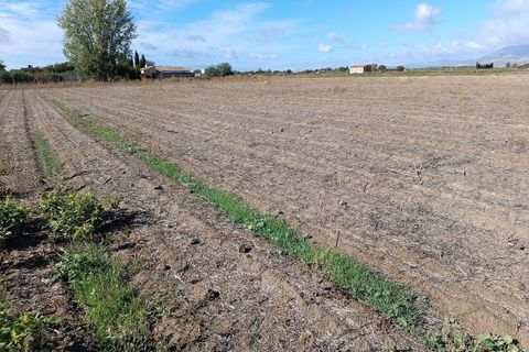 Helårsgrund i Pinos Puente, Granada, Pinos Puente - € 63.000 | Ref: EXP10695/8930 - foto 24