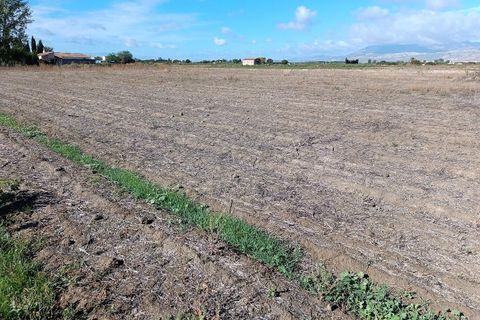 Helårsgrund i Pinos Puente, Granada, Pinos Puente - € 63.000 | Ref: EXP10695/8930 - foto 26