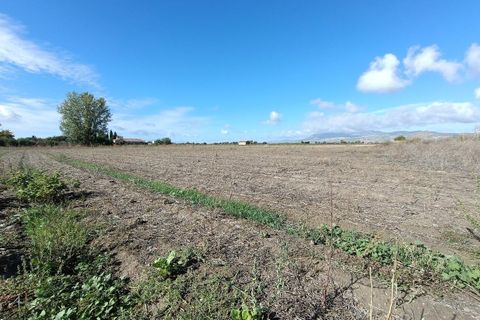 Helårsgrund i Pinos Puente, Granada, Pinos Puente - € 63.000 | Ref: EXP10695/8930 - foto 30