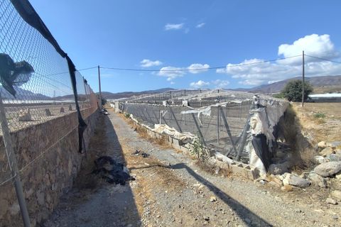 Helårsgrund i Berja, Almeria, Berja - € 850.000 | Ref: EXP11514/8930 - foto 12