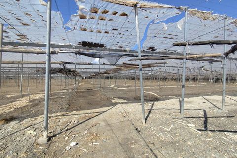 Helårsgrund i Berja, Almeria, Berja - € 850.000 | Ref: EXP11514/8930 - foto 14
