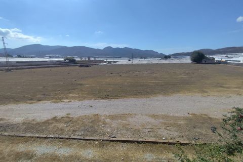 Helårsgrund i Berja, Almeria, Berja - € 850.000 | Ref: EXP11514/8930 - foto 38