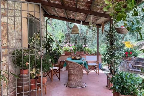 Villa i Massarosa, Lucca, Massarosa - € 1.600.000 | Ref: ito3025 - foto 2