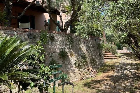 Villa i Massarosa, Lucca, Massarosa - € 1.600.000 | Ref: ito3025 - foto 7