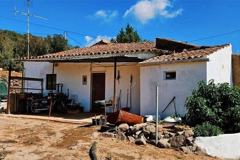 Rækkehus i Monchique, Faro, Monchique - € 350.000 | Ref: 150130 - foto 2