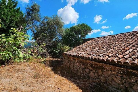 Rækkehus i Monchique, Faro, Monchique - € 350.000 | Ref: 150130 - foto 6