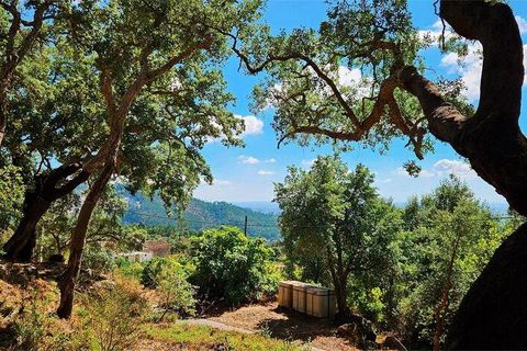Rækkehus i Monchique, Faro, Monchique - € 350.000 | Ref: 150130 - foto 9