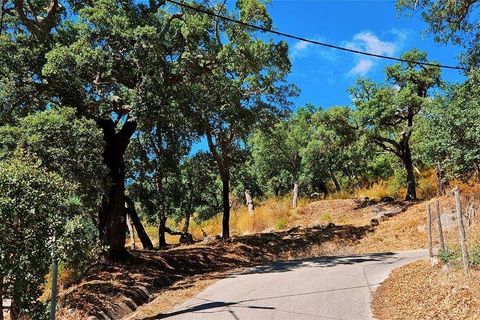 Rækkehus i Monchique, Faro, Monchique - € 350.000 | Ref: 150130 - foto 11