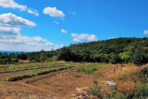 Rækkehus i Monchique, Faro, Monchique - € 350.000 | Ref: 150130 - foto 13