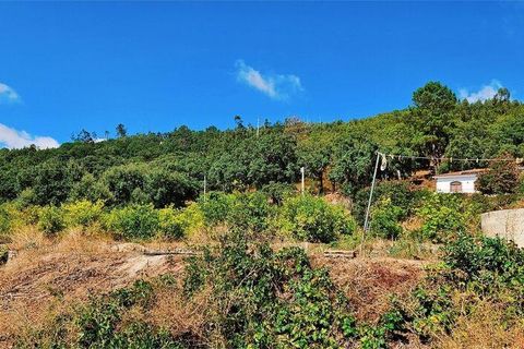 Rækkehus i Monchique, Faro, Monchique - € 350.000 | Ref: 150130 - foto 15
