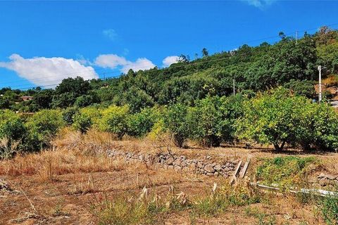 Rækkehus i Monchique, Faro, Monchique - € 350.000 | Ref: 150130 - foto 17