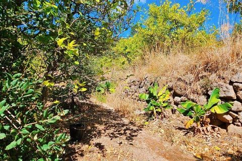Rækkehus i Monchique, Faro, Monchique - € 350.000 | Ref: 150130 - foto 18