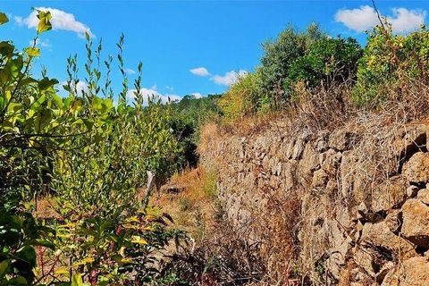 Rækkehus i Monchique, Faro, Monchique - € 350.000 | Ref: 150130 - foto 19