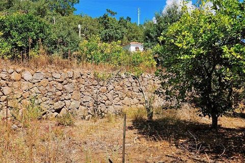 Rækkehus i Monchique, Faro, Monchique - € 350.000 | Ref: 150130 - foto 20