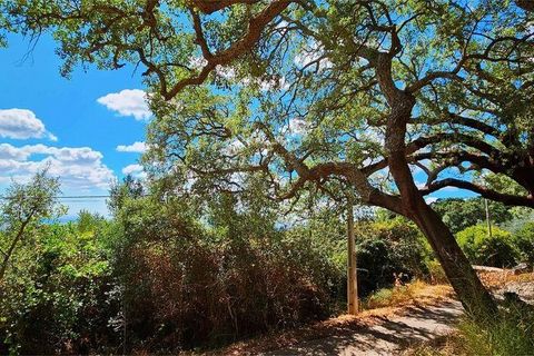 Rækkehus i Monchique, Faro, Monchique - € 350.000 | Ref: 150130 - foto 23
