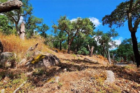 Rækkehus i Monchique, Faro, Monchique - € 350.000 | Ref: 150130 - foto 24