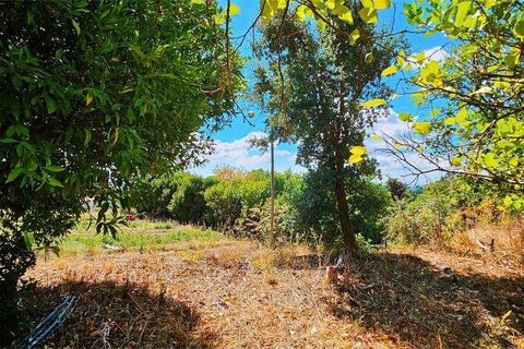 Rækkehus i Monchique, Faro, Monchique - € 350.000 | Ref: 150130 - foto 25