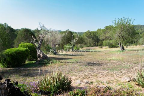 Finca i Benimussa, Ibiza, Benimussa - € 4.590.000 | Ref: 7453 - foto 46
