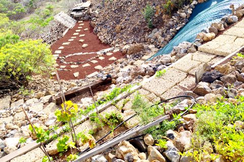 Villa i Piedra Hincada, Tenerife, Piedra Hincada - € 977.000 | Ref: 1365 - foto 7