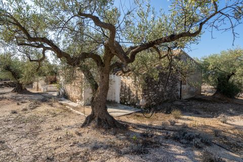 Finca i L'Ampolla, Tarragona, L'Ampolla - € 140.000 | Ref: 275 - foto 15