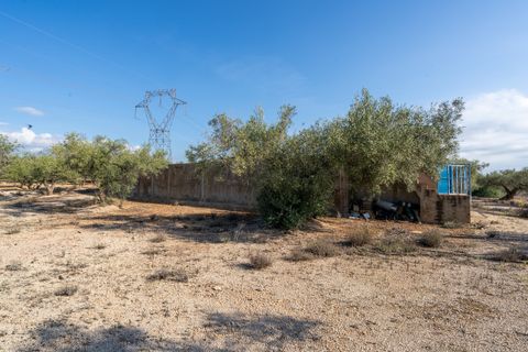 Finca i L'Ampolla, Tarragona, L'Ampolla - € 140.000 | Ref: 275 - foto 18