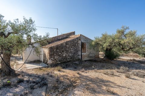 Finca i L'Ampolla, Tarragona, L'Ampolla - € 140.000 | Ref: 275 - foto 3