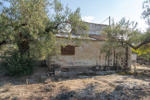 Finca i L'Ampolla, Tarragona, L'Ampolla - € 140.000 | Ref: 275 - foto 17