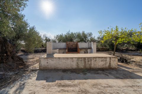 Finca i L'Ampolla, Tarragona, L'Ampolla - € 140.000 | Ref: 275 - foto 14