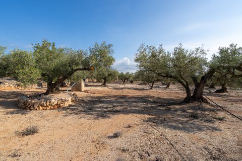 Finca i L'Ampolla, Tarragona, L'Ampolla - € 140.000 | Ref: 275 - foto 29