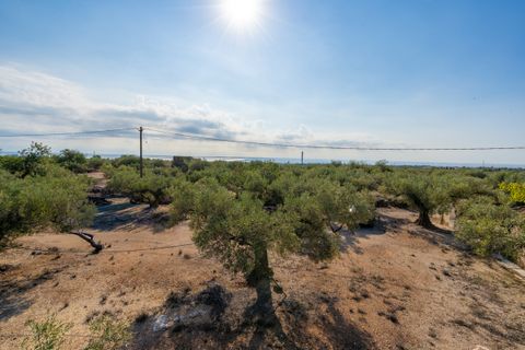 Finca i L'Ampolla, Tarragona, L'Ampolla - € 140.000 | Ref: 275 - foto 32