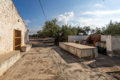 Finca i L'Ampolla, Tarragona, L'Ampolla - € 140.000 | Ref: 275 - foto 31