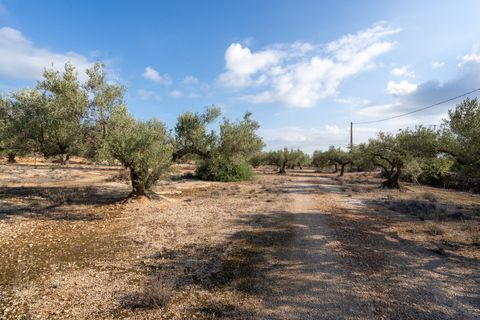 Finca i L'Ampolla, Tarragona, L'Ampolla - € 140.000 | Ref: 275 - foto 26