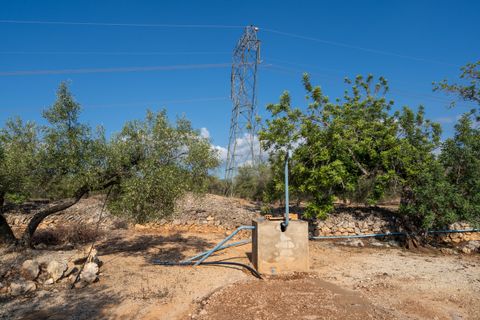 Finca i L'Ampolla, Tarragona, L'Ampolla - € 140.000 | Ref: 275 - foto 25