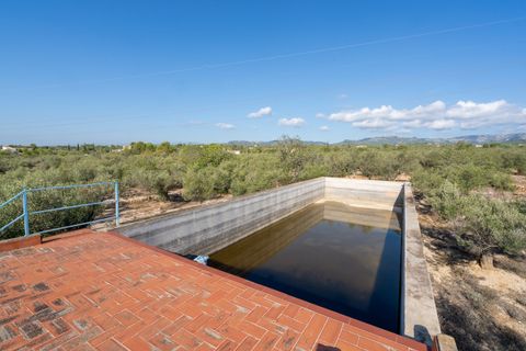 Finca i L'Ampolla, Tarragona, L'Ampolla - € 140.000 | Ref: 275 - foto 24