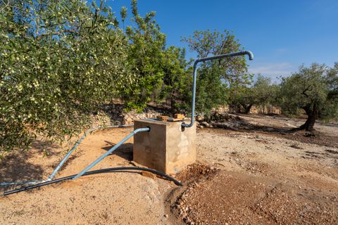 Finca i L'Ampolla, Tarragona, L'Ampolla - € 140.000 | Ref: 275 - foto 28