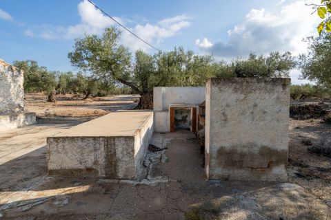 Finca i L'Ampolla, Tarragona, L'Ampolla - € 140.000 | Ref: 275 - foto 13