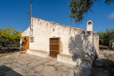 Finca i L'Ampolla, Tarragona, L'Ampolla - € 140.000 | Ref: 275 - foto 12