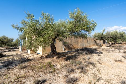 Finca i L'Ampolla, Tarragona, L'Ampolla - € 140.000 | Ref: 275 - foto 19