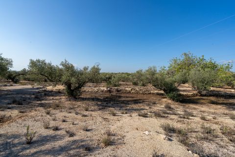 Finca i L'Ampolla, Tarragona, L'Ampolla - € 140.000 | Ref: 275 - foto 27