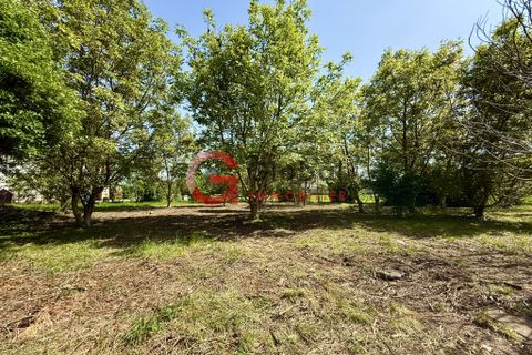 Terra a Sélestat, Bas-Rhin, Sélestat - € 424.000 | Ref: 7313 - foto 2