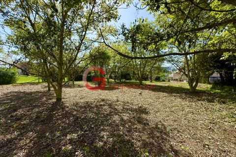 Terra a Sélestat, Bas-Rhin, Sélestat - € 424.000 | Ref: 7313 - foto 3